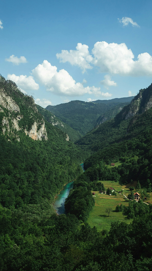 Preserving the biosphere and culture of Kodagu